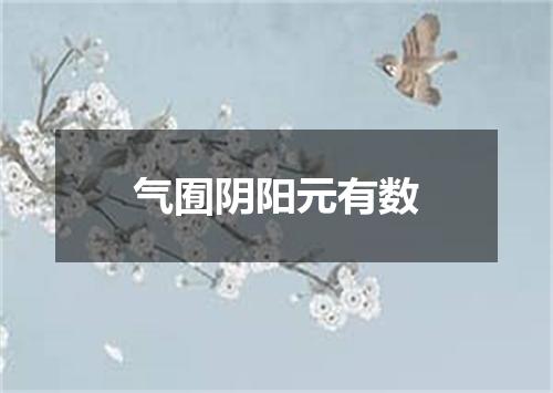 气囿阴阳元有数