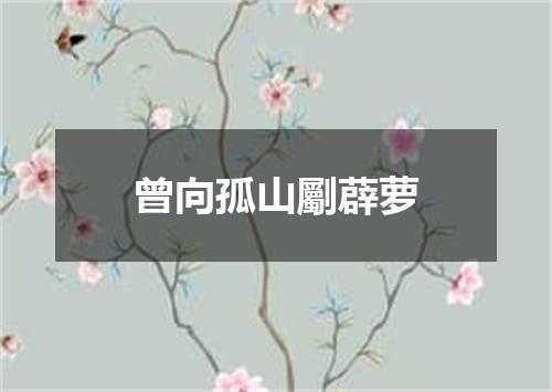 曾向孤山劚薜萝