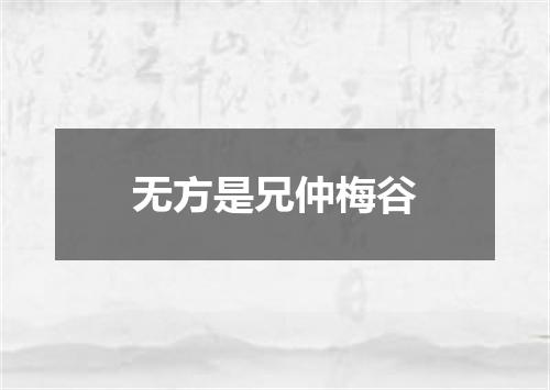 无方是兄仲梅谷