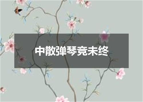 中散弹琴竞未终