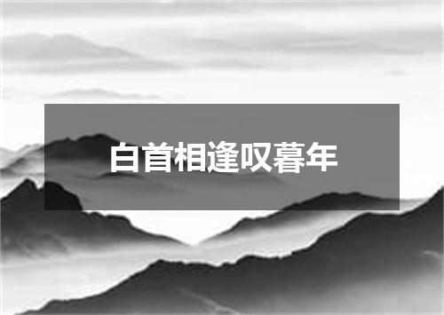 白首相逢叹暮年