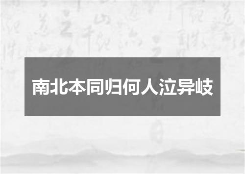 南北本同归何人泣异岐