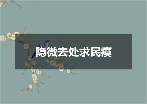 隐微去处求民瘼