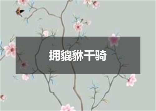 拥貔貅千骑