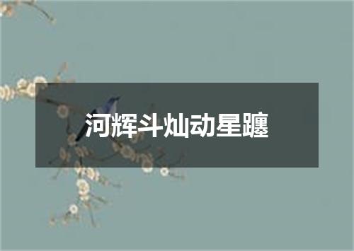 河辉斗灿动星躔