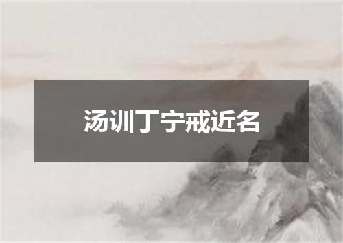 汤训丁宁戒近名