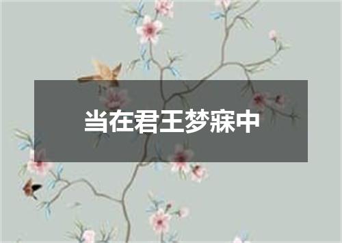 当在君王梦寐中