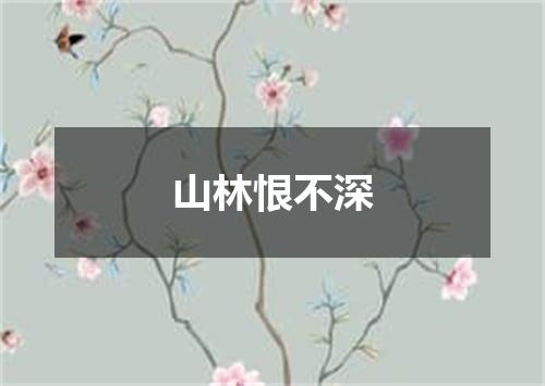 山林恨不深