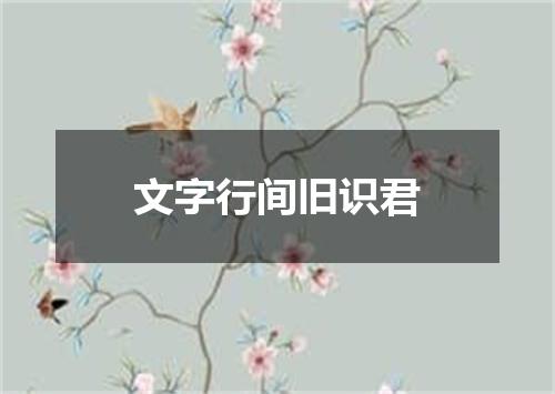 文字行间旧识君