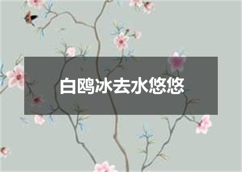 白鸥冰去水悠悠