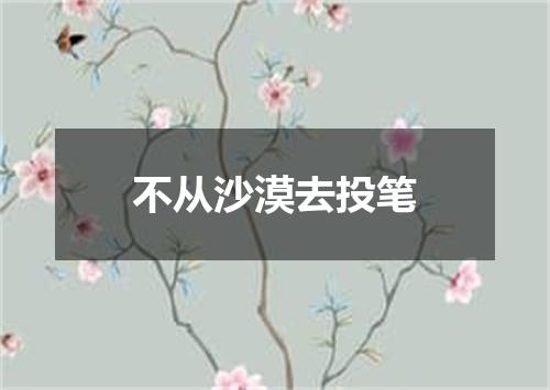 不从沙漠去投笔