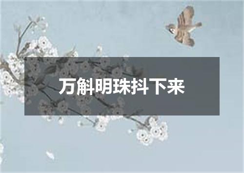 万斛明珠抖下来