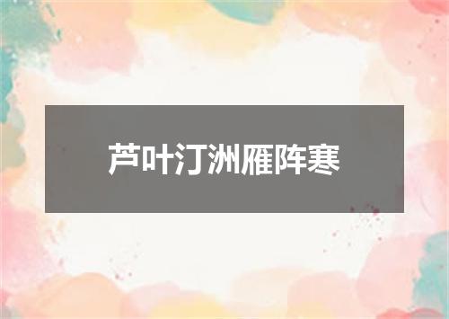 芦叶汀洲雁阵寒