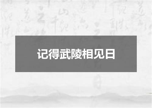 记得武陵相见日