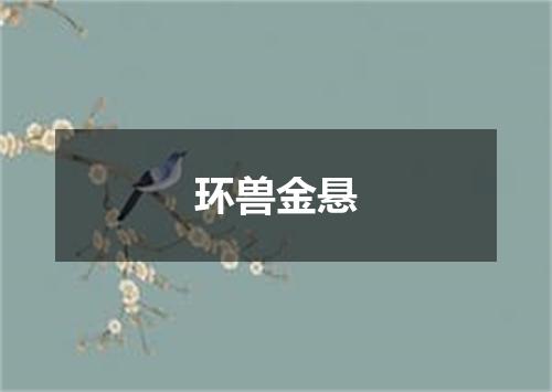 环兽金悬