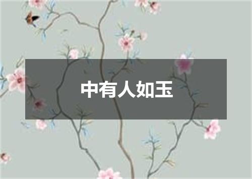 中有人如玉