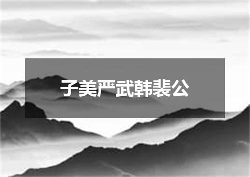 子美严武韩裴公