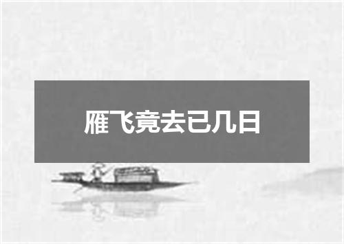 雁飞竟去已几日