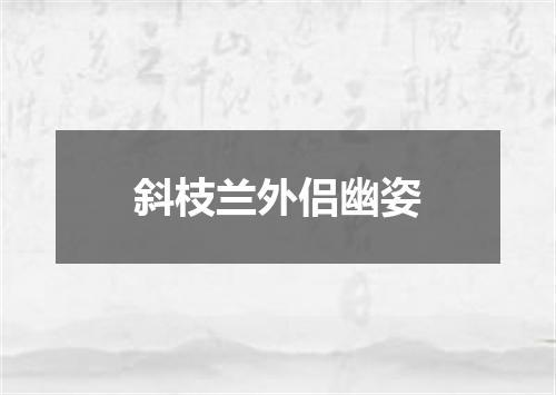 斜枝兰外侣幽姿