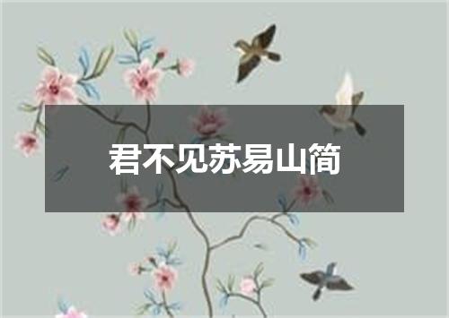 君不见苏易山简