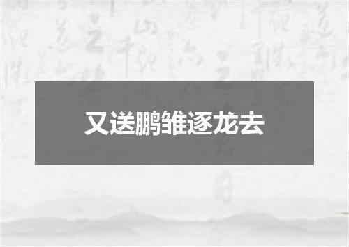 又送鹏雏逐龙去