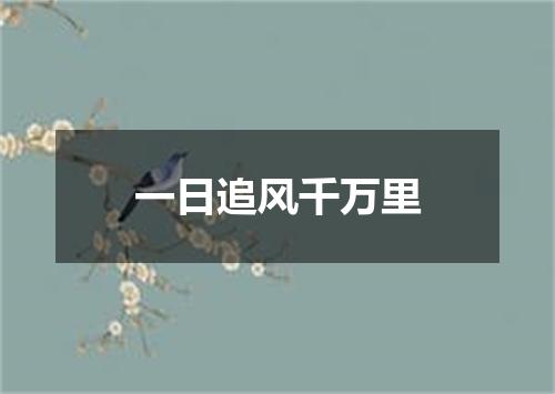 一日追风千万里