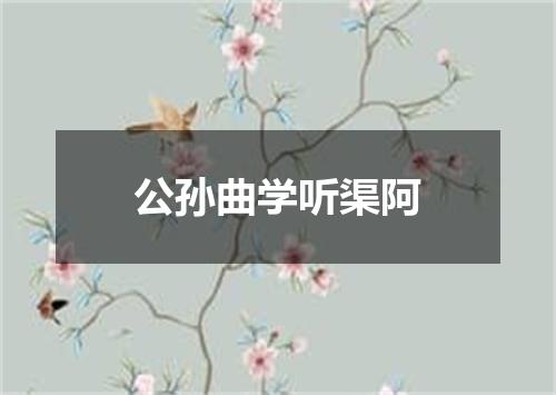 公孙曲学听渠阿