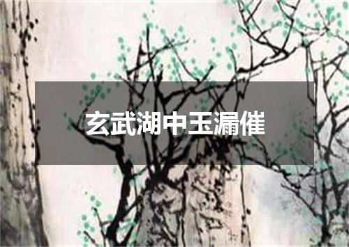 玄武湖中玉漏催