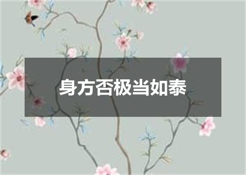 身方否极当如泰