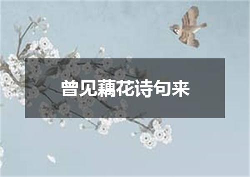 曾见藕花诗句来