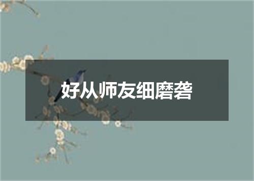 好从师友细磨砻