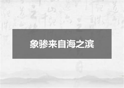 象骖来自海之滨