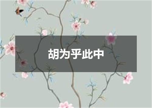 胡为乎此中