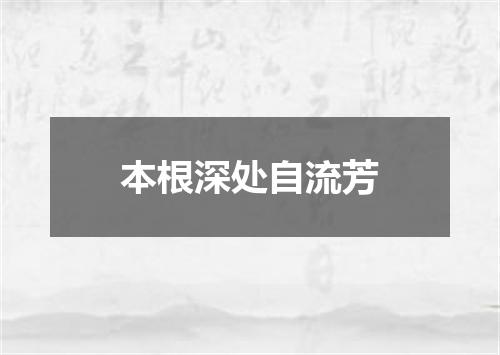 本根深处自流芳