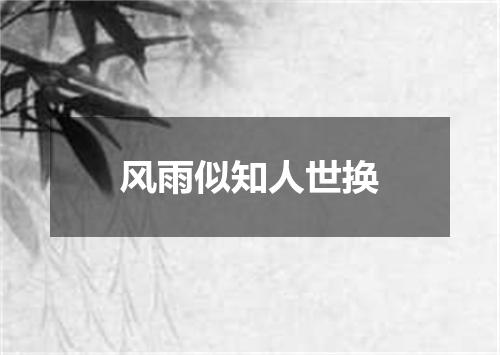 风雨似知人世换