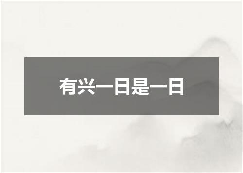 有兴一日是一日