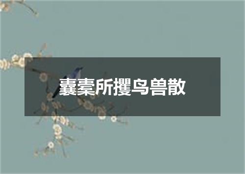 囊橐所攫鸟兽散