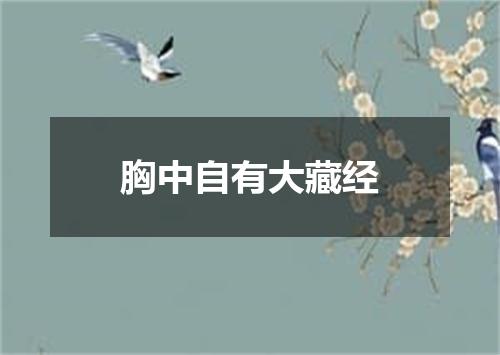 胸中自有大藏经