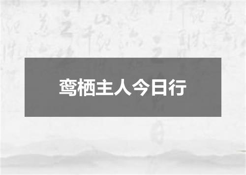 鸾栖主人今日行