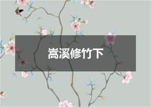 嵩溪修竹下