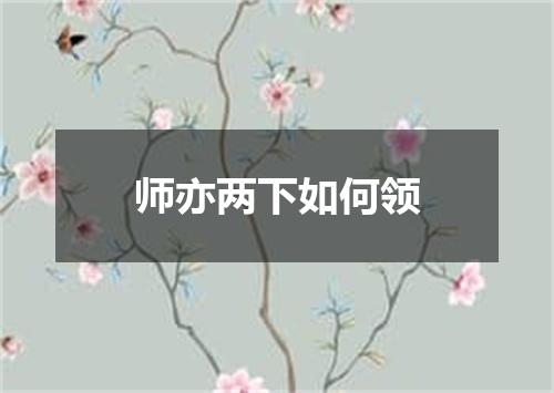 师亦两下如何领