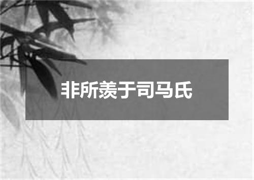 非所羡于司马氏