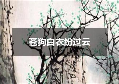 苍狗白衣纷过云