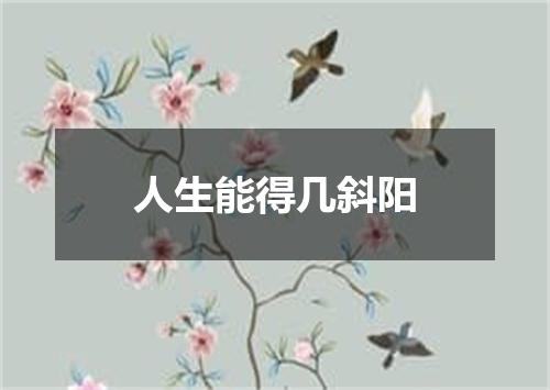 人生能得几斜阳