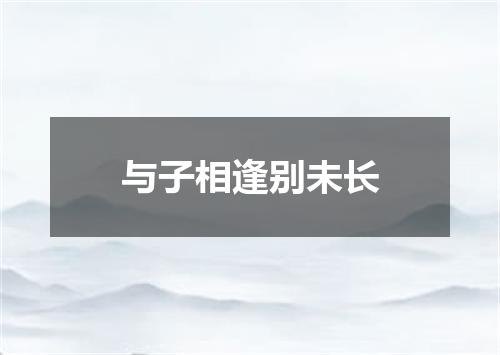 与子相逢别未长