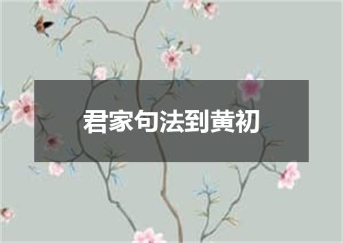 君家句法到黄初