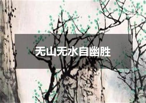 无山无水自幽胜