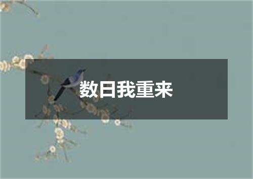 数日我重来