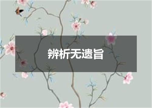 辨析无遗旨