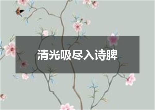 清光吸尽入诗脾